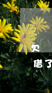 欠螞蟻借唄錢2萬不還會怎么樣(支付寶借唄借了兩萬還不上怎么辦)