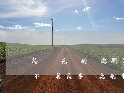 欠螞蟻花唄的錢逾期了(欠螞蟻花唄的錢逾期不還,算民事還是刑事)