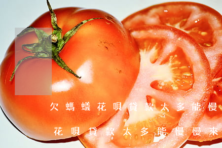 欠螞蟻花唄貸款太多能慢慢來還嗎-欠螞蟻花唄貸款太多能慢慢來還嗎安全嗎
