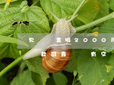 欠螞蟻金服2000元快一年了-螞蟻金服貸款可靠嗎沒有交錢要告我法停