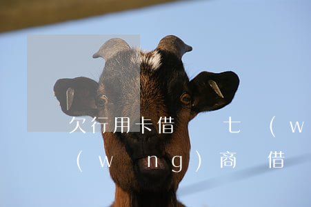 欠行用卡借唄總七萬(wàn)多(信用卡,網(wǎng)商貸,借唄,花唄欠款17萬(wàn)怎么辦)