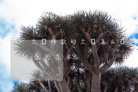 欠裝修款的欠條怎么寫(xiě)(裝修欠款合同范本)