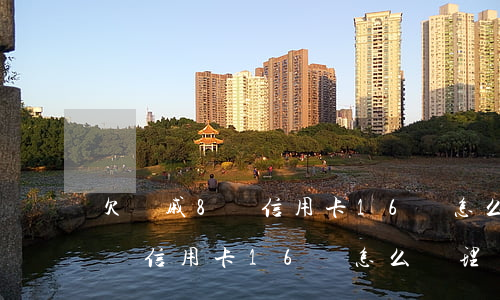 欠親戚8萬信用卡16萬怎么辦-欠親戚8萬信用卡16萬怎么辦理