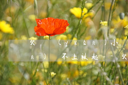 欠諾遠(yuǎn)小貸公司的錢(qián)還不上被起訴-欠諾遠(yuǎn)小貸公司的錢(qián)還不上被起訴了怎么辦