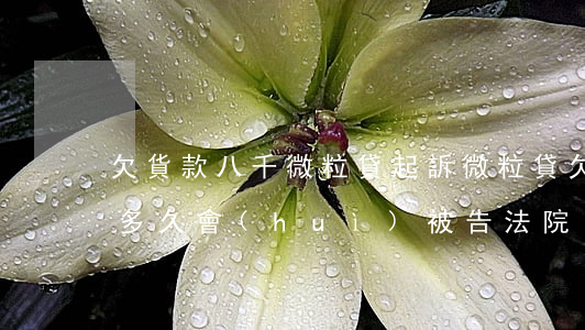 欠貨款八千微粒貸起訴(微粒貸欠款8萬逾期多久會(huì)被告法院)