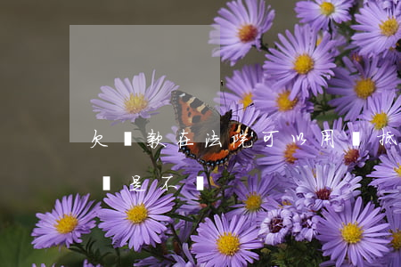欠貨款在法院可以用貨抵嗎(欠貨款法院判了還是不還)