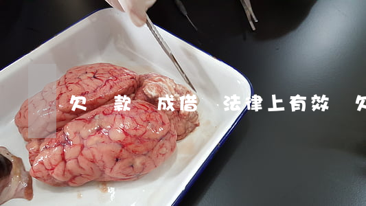 欠貨款寫成借條法律上有效嗎(欠貨款寫的借條)