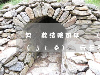 欠貨款法院可以凍結(jié)嗎(法院凍結(jié)銀行卡不夠欠款怎么辦)