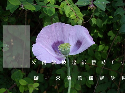 欠貨款被起訴暫時(shí)無力償還怎么辦-欠貨款被起訴暫時(shí)無力償還怎么辦呢