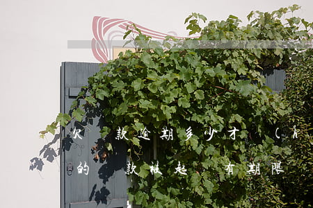 欠貨款逾期多少才會(huì)被起訴-欠的貨款被起訴有期限嗎