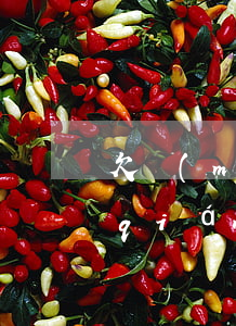 欠買(mǎi)單俠一萬(wàn)塊錢(qián)還了七千多(買(mǎi)單俠幾年沒(méi)還了)