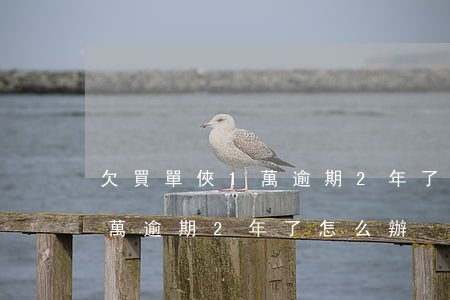 欠買單俠1萬逾期2年了怎么辦(欠買單俠1萬逾期2年了怎么辦)