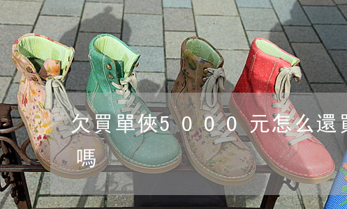 欠買單俠5000元怎么還(買單俠可以借錢嗎)