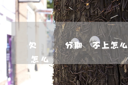 欠買單俠分期還不上怎么辦(買單俠還不了款怎么辦)