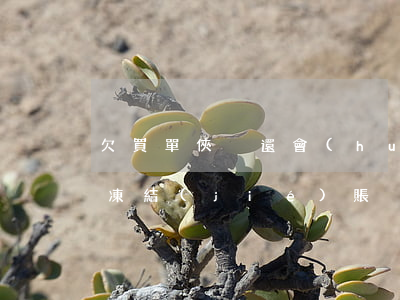 欠買單俠沒還,會(huì)不會(huì)凍結(jié)賬戶限制高消費(fèi)（買單俠逾期微信凍結(jié)怎么辦）