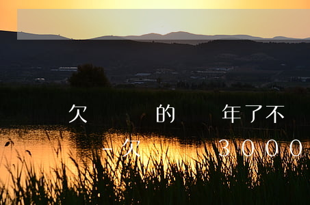 欠買單俠的錢幾年了不還會(huì)怎么樣-欠買單俠3000,有三年沒還,現(xiàn)在叫我還六千