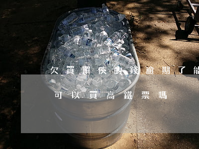 欠買單俠的錢逾期了能坐高鐵嗎(征信有逾期可以買高鐵票嗎)
