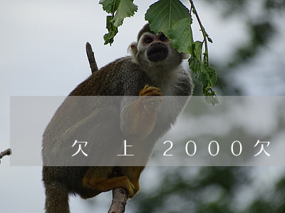 欠貸上錢2000(欠貸上錢2000)