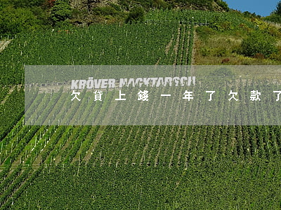 欠貸上錢一年了(欠款了還能貸款嗎)