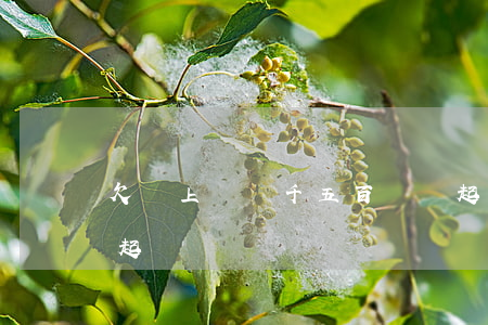 欠貸上錢兩千五百塊說起訴我(欠貸款兩千被起訴)
