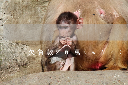 欠貸款20萬(wàn)還不起