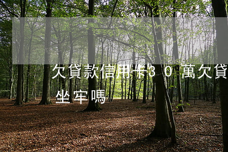 欠貸款信用卡30萬(欠貸款信用卡30萬會坐牢嗎)