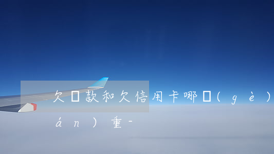 欠貸款和欠信用卡哪個(gè)更加嚴(yán)重-