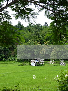欠貸款或信用卡還不上(欠信用卡和貸款,還不起了,只有去死嗎)
