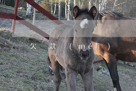 欠貸款沒(méi)還會(huì)被通緝嗎