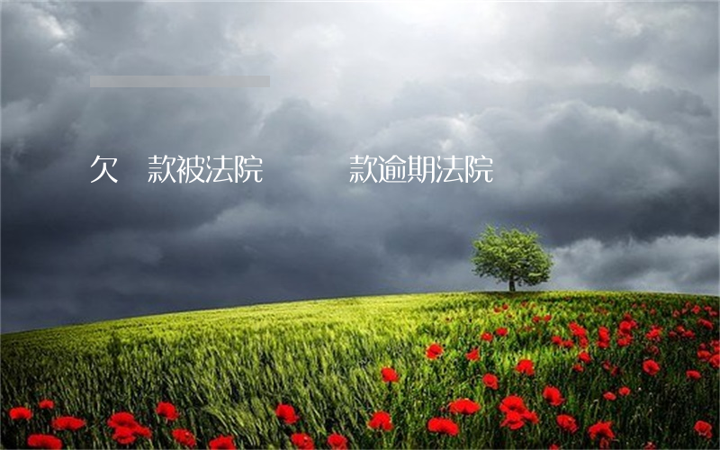 欠貸款被法院傳喚（貸款逾期法院傳喚）