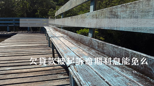 欠貸款被起訴逾期利息能免么