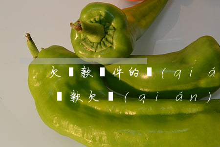 欠貸款軟件的錢(qián)還不上怎么辦(貸款欠錢(qián)還不起怎么辦)
