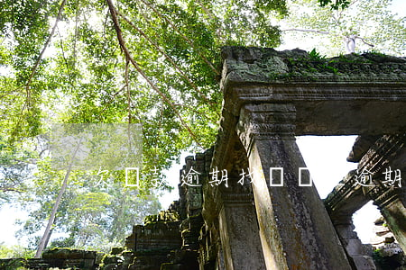 欠貸款逾期找誰處理(逾期欠款怎么還)