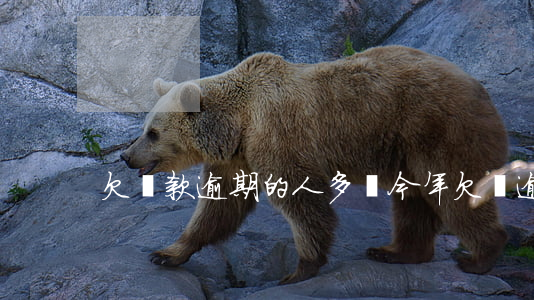 欠貸款逾期的人多嗎(今年欠錢逾期的人多嗎)