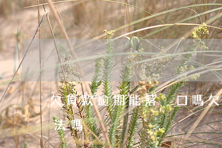 欠貸款逾期能落戶口嗎(欠款逾期去戶籍地合法嗎)
