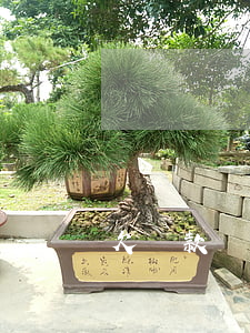 欠貸款還不上怎么辦(欠款還不上如何處理)