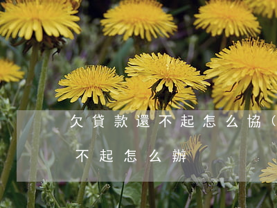 欠貸款還不起怎么協(xié)商-欠貸還不起怎么辦