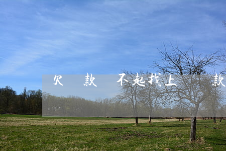 欠貸款還不起找上門(貸款不還會不會找上門)