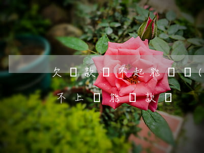 欠貸款還不起能過關(guān)嗎(貸款還不上還能貸款嗎)