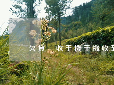 欠貸沒收手機(手機收到欠款通知)