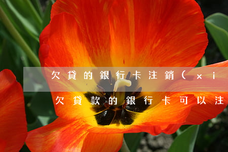 欠貸的銀行卡注銷(xiāo)了還能還嗎(欠貸款的銀行卡可以注銷(xiāo)嗎)