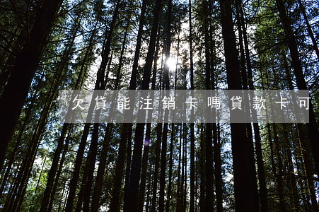 欠貸能注銷卡嗎(貸款卡可以注銷嗎)