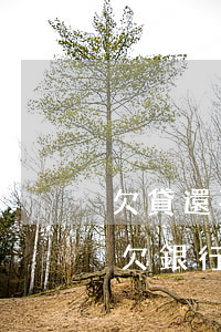欠貸還不起銀行卡被凍結(jié)(貸款拖欠銀行卡凍結(jié))