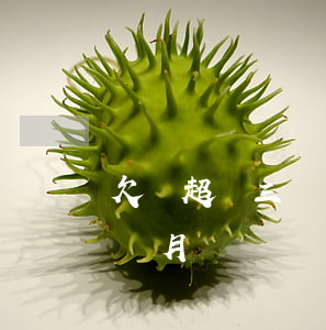 欠費超過三個月再交話費怎么交（話費逾期三個月）