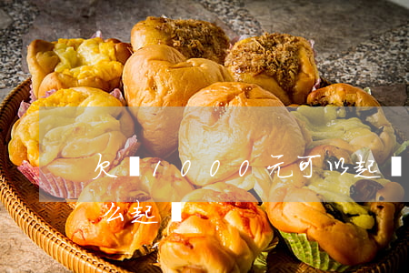 欠賬1000元可以起訴嗎(欠1000元怎么起訴)