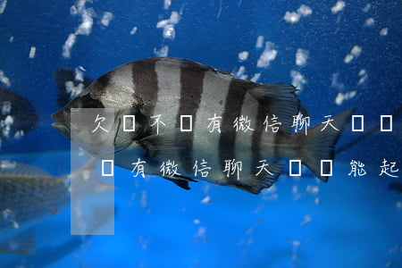 欠賬不給有微信聊天記錄能起訴嗎-欠賬不給有微信聊天記錄能起訴嗎怎么辦