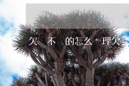 欠賬不還的怎么處理(欠賬怎么辦)