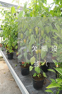欠賬沒有證據(jù)怎么辦(欠錢不還沒證據(jù)怎么辦最有效的方法)