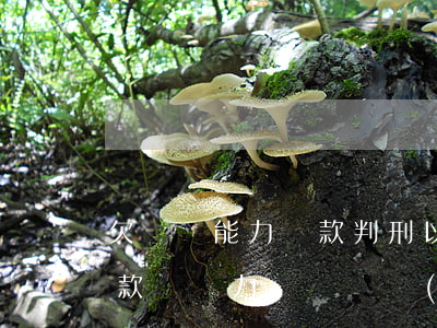 欠賬沒能力還款判刑以后還會(huì)還款嗎（無力償還債務(wù)判刑后）
