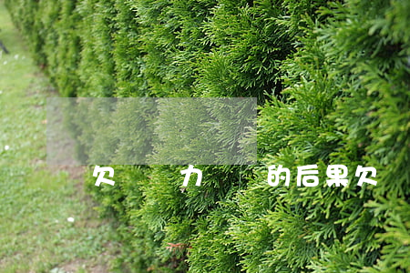 欠賬無力償還的后果(欠債無力償還怎么辦?)